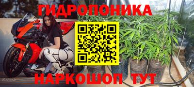стафф Ликино-Дулёво