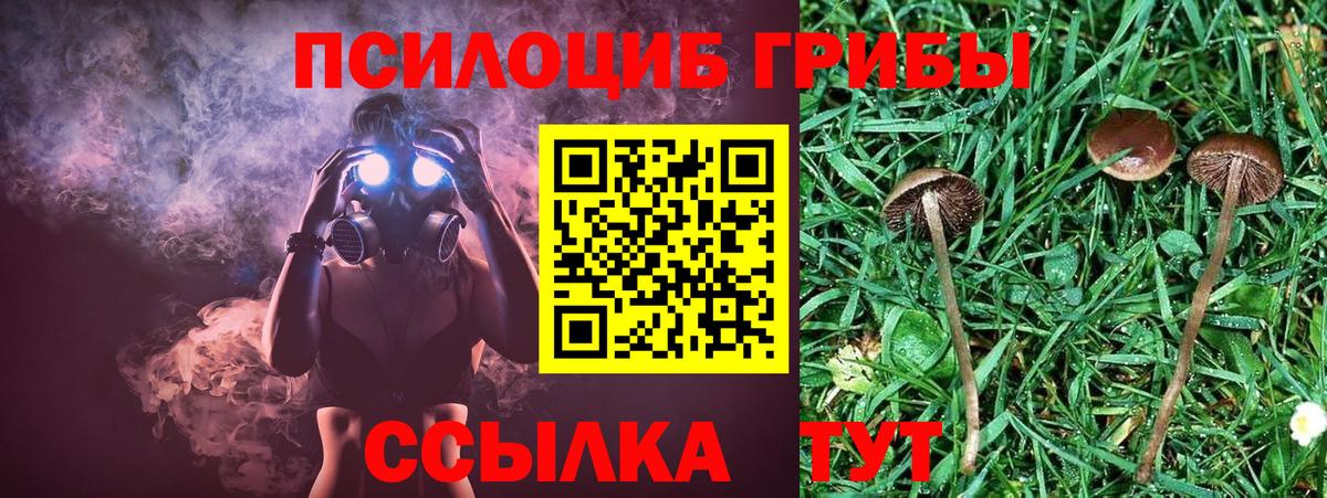 Галлюциногенные грибы прущие грибы Воркута