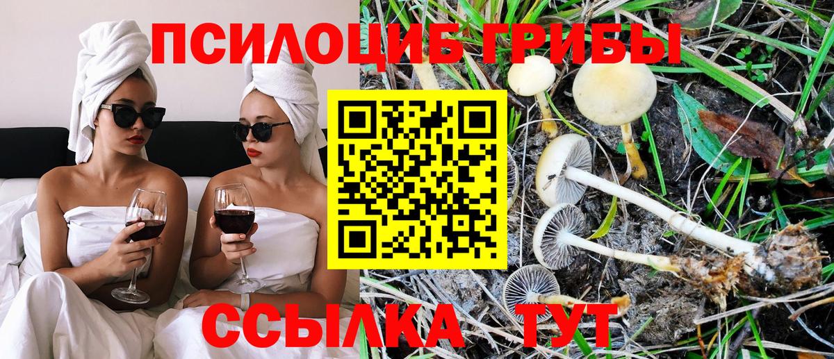 Галлюциногенные грибы прущие грибы  Псилоцибиновые грибы Cubensis  купить наркоту  Воркута  Вход с VPN 